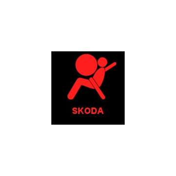 Skoda airbag, srs module crash data removal